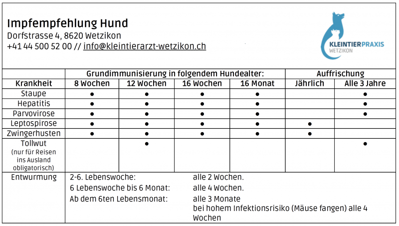 Impfempfehlung Hunde